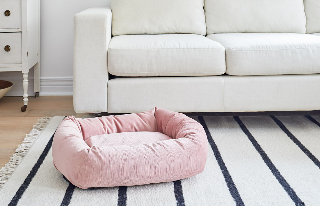 pink dog bed