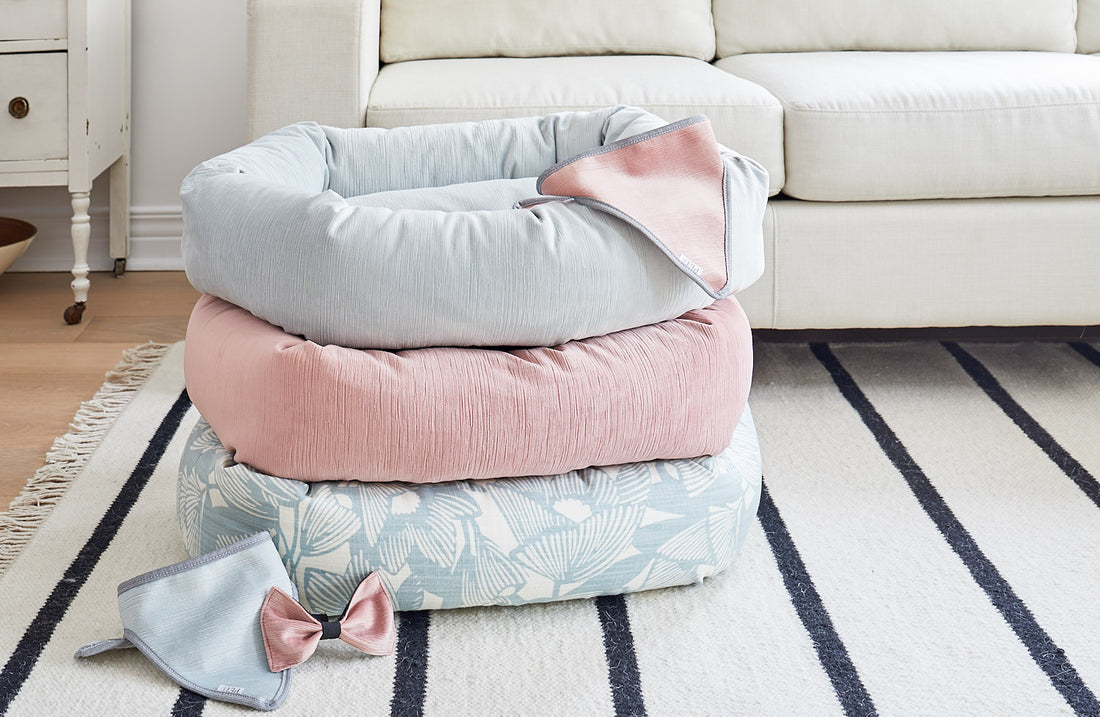 PASTAL COLOUR DOG BED