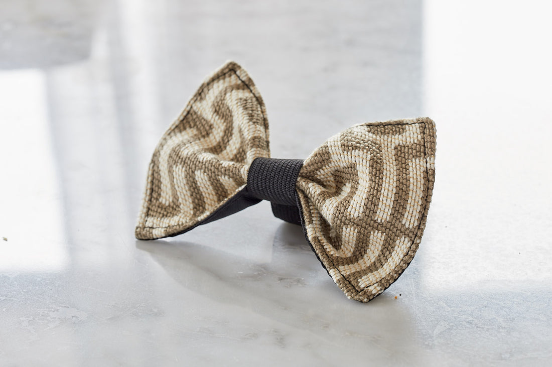 designer dog bow tie