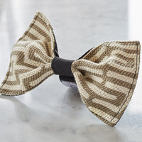 fashionable dog bow tie