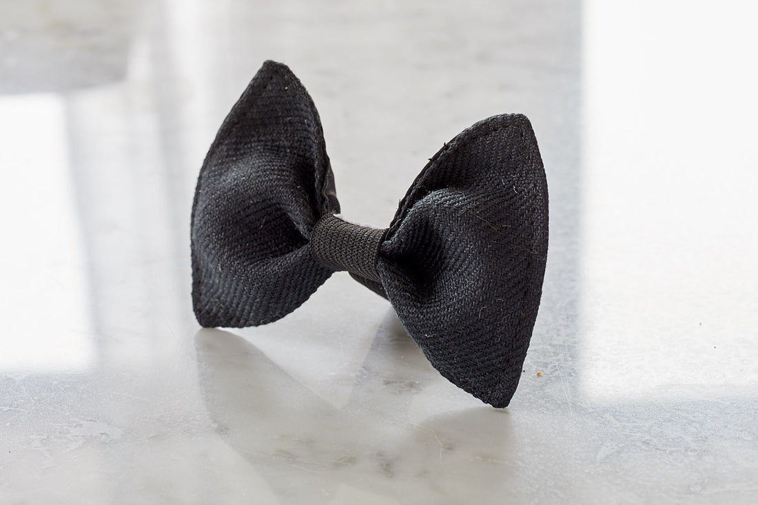 DOG BOW TIE