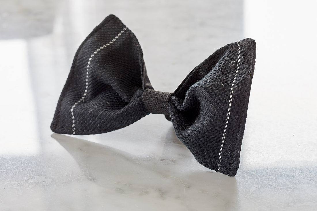 BLACK DOG BOW