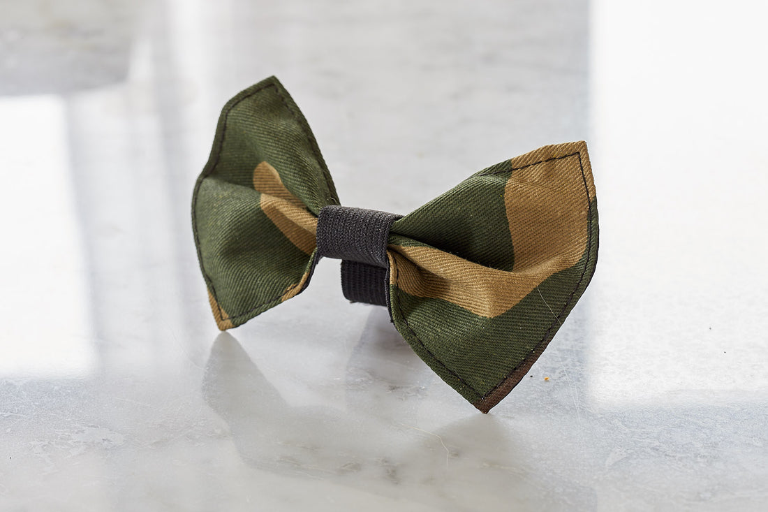 camo dog bow