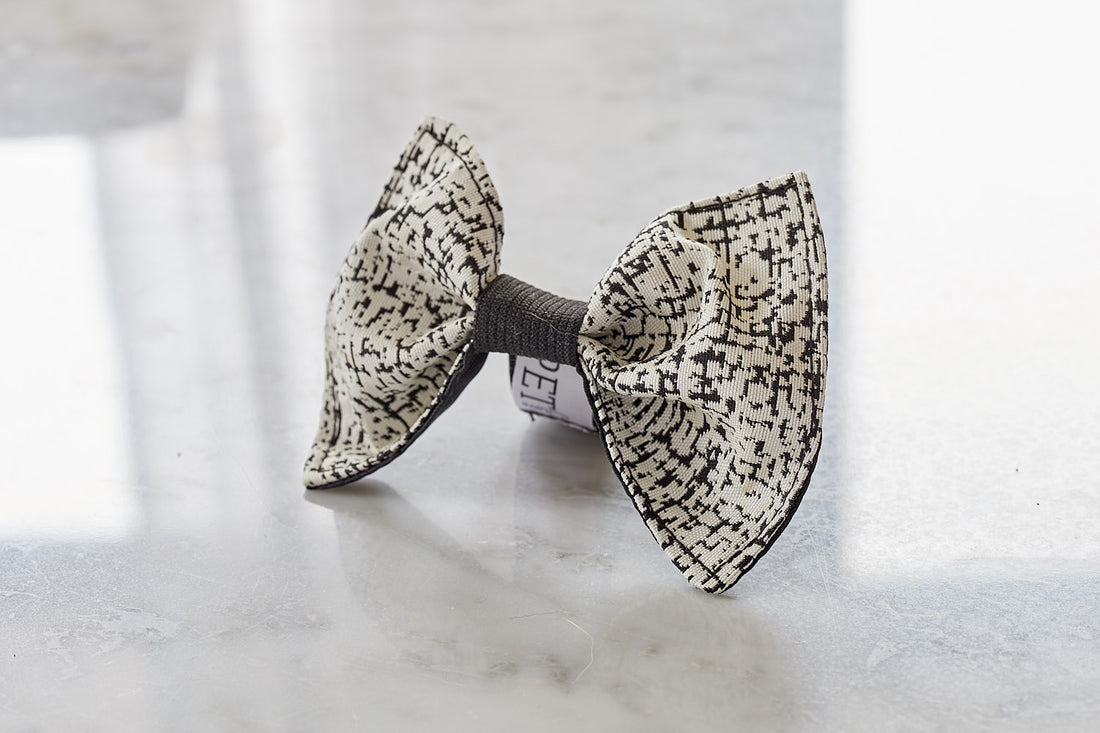 dog bow tie fashion