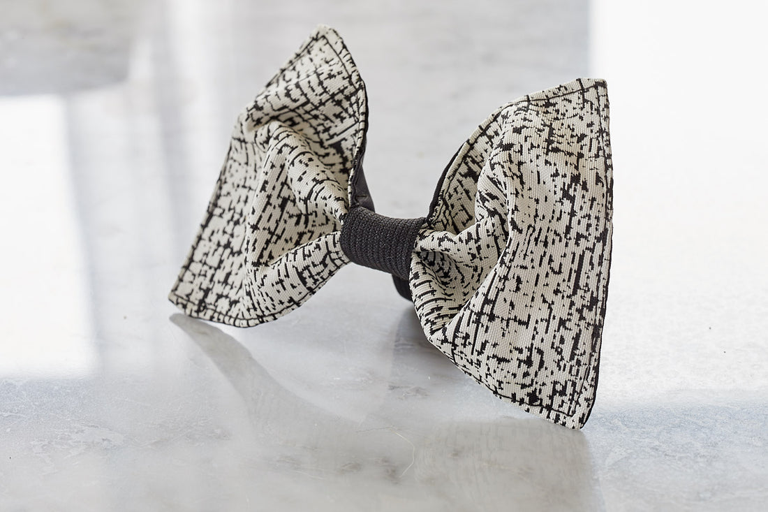 dog bow tie
