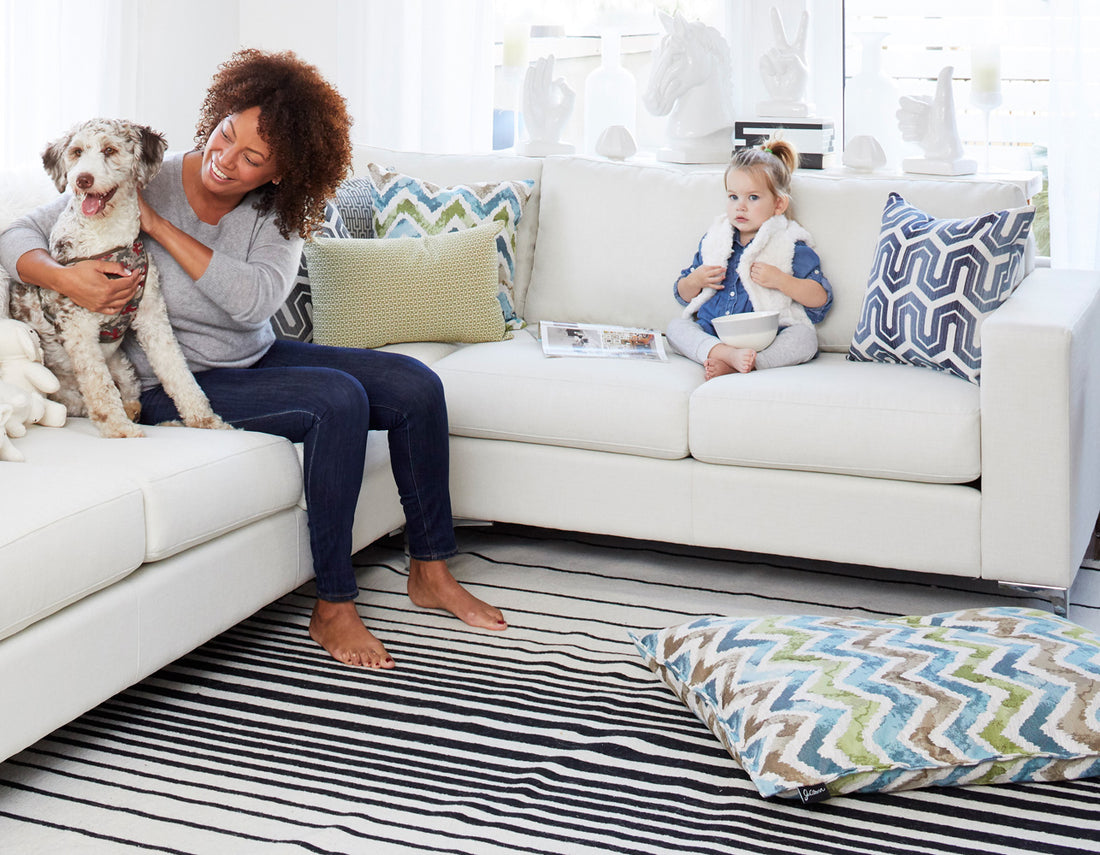 patterned dog bed