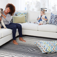 patterned dog bed