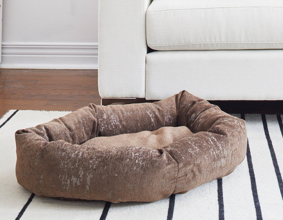 brown dog bed