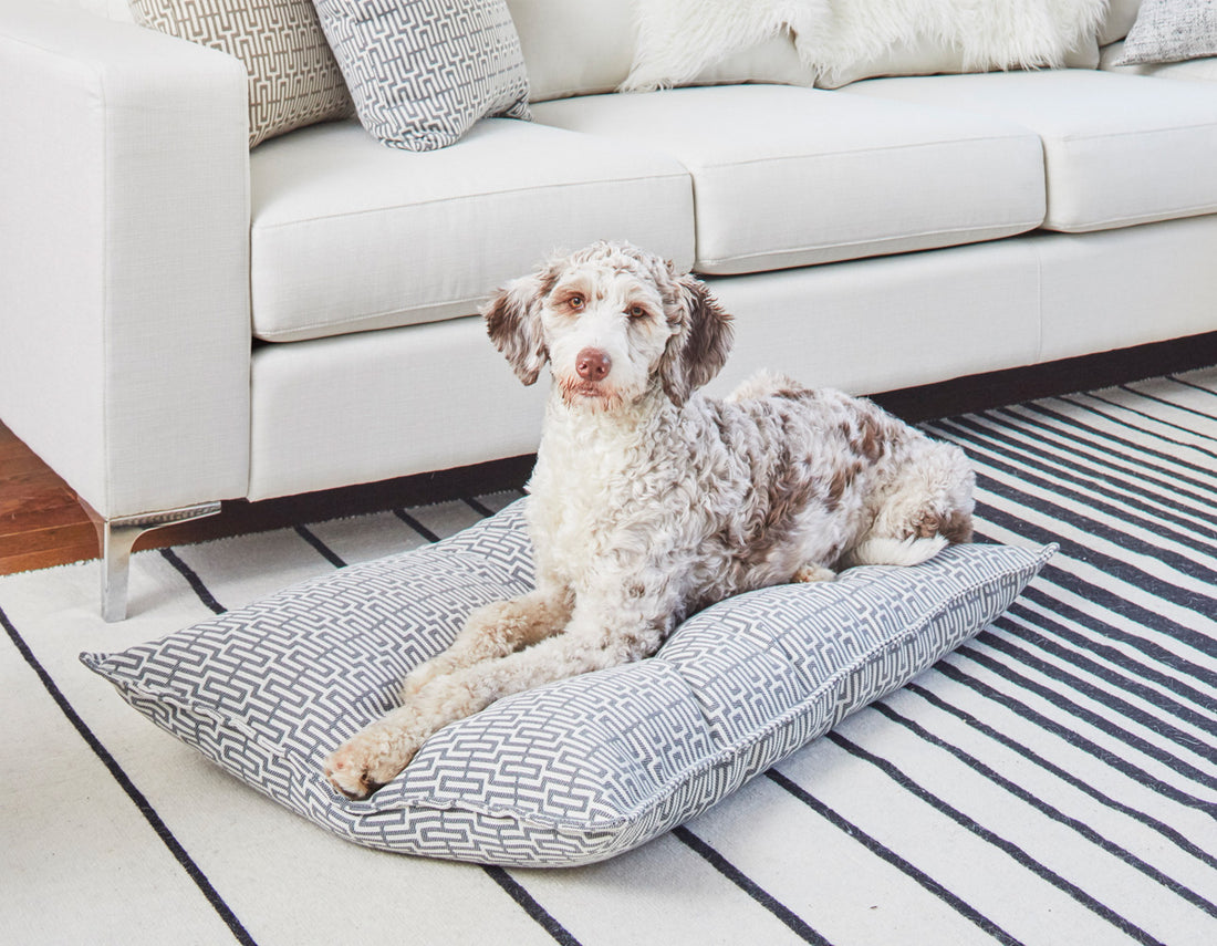 Option Dog Bed