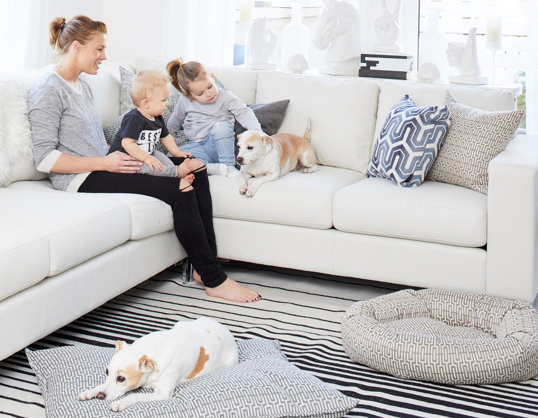 washable dog bed