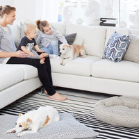 washable dog bed