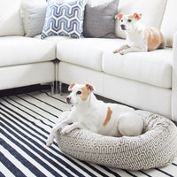 stylish dog bed
