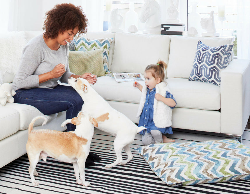 multiple colour dog bed