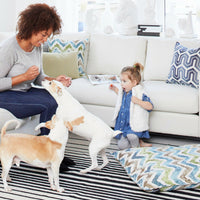 multiple colour dog bed