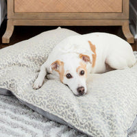 animal print dog bed