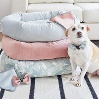 MODERN DOG BED
