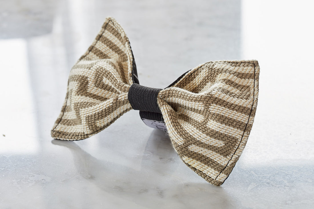 fashionable dog bow tie