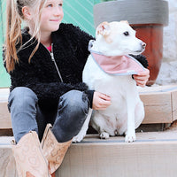 girl and her jack russell dog