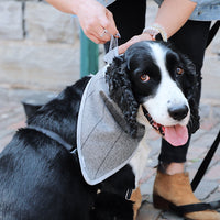 happy dog pet love scarf