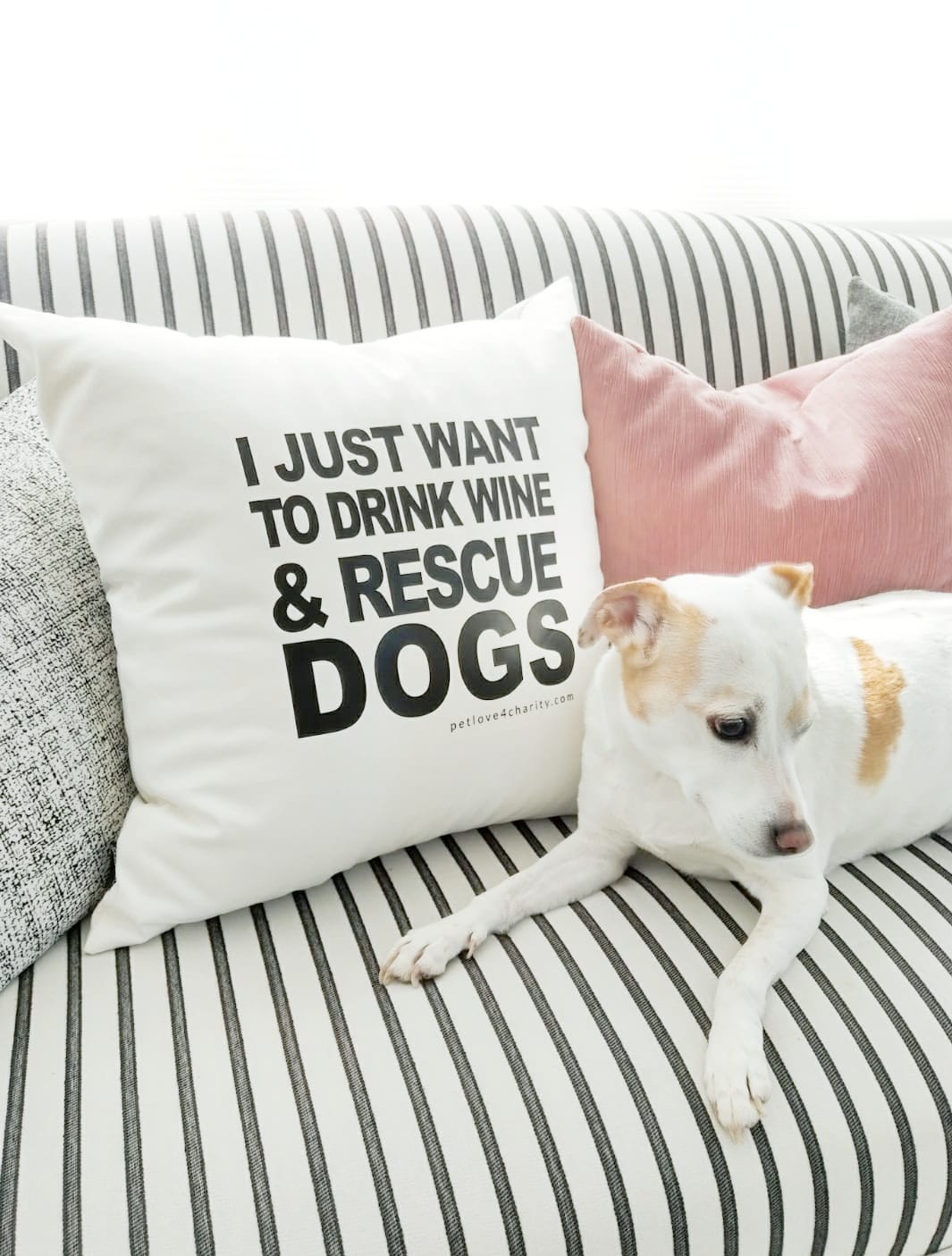 dog rescue pillow