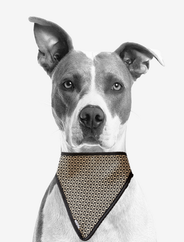 dog scarf