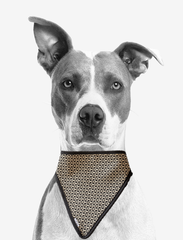 dog scarf