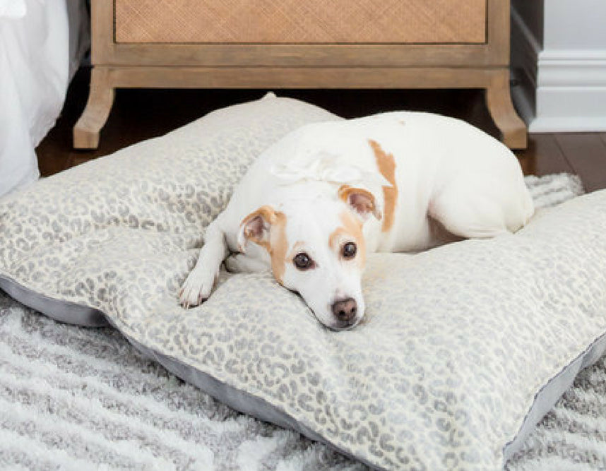 animal print dog bed