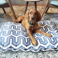 patterned dog bed