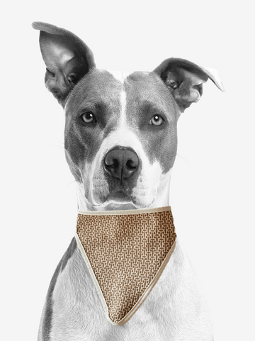 fashion dog scarf